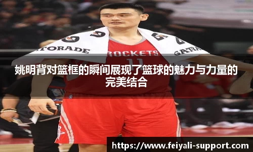 姚明背对篮框的瞬间展现了篮球的魅力与力量的完美结合